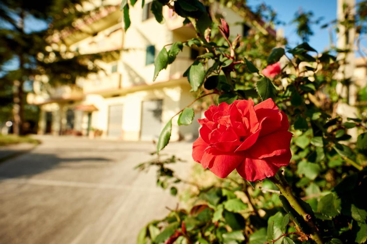 Bouganville House - Casa Vacanze Triparni Dış mekan fotoğraf